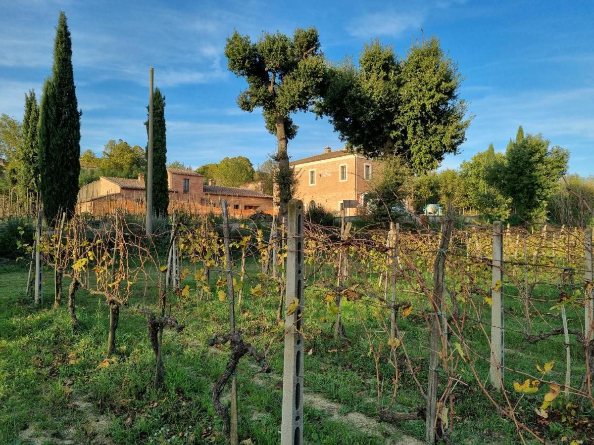 شقة Fornace Del Conte Abbadia di Montepulciano المظهر الخارجي الصورة