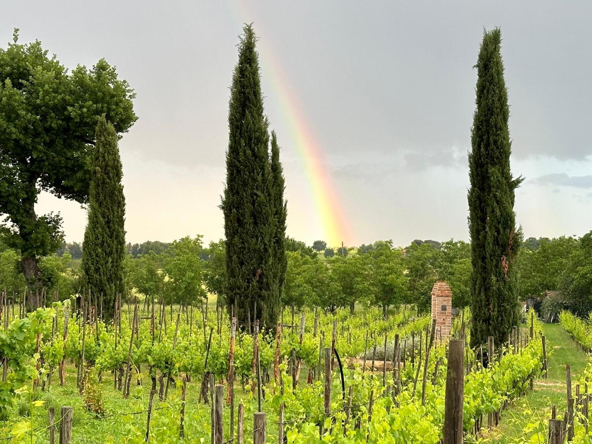 شقة Fornace Del Conte Abbadia di Montepulciano المظهر الخارجي الصورة